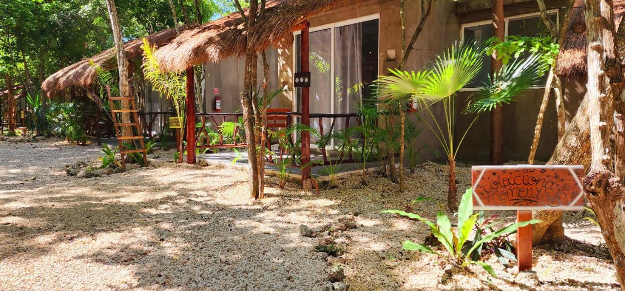 Hotel Kin Tulum Jungle Deluxe Buitenkant foto