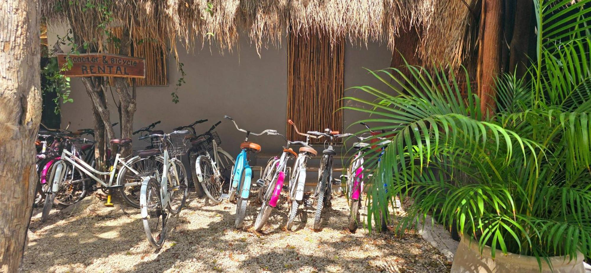 Hotel Kin Tulum Jungle Deluxe Buitenkant foto