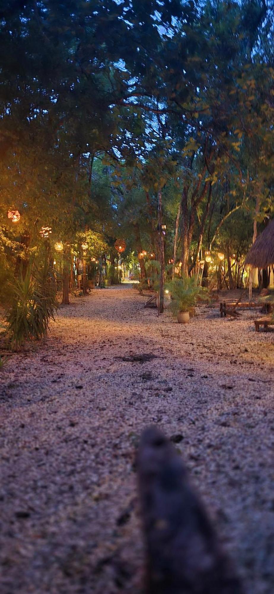 Hotel Kin Tulum Jungle Deluxe Buitenkant foto